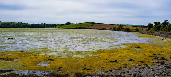 Vast tidal plains in the south of Ireland on a summer day. Irish landscape. A tidal marsh is a marsh which floods and drains by the tidal movement of the adjacent estuary, sea or ocean. tidal wetland