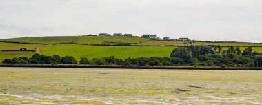 Alçak gelgitten sonra çamurlu ovalar, İrlanda kıyıları. Yazın İrlanda kıyı manzarası.