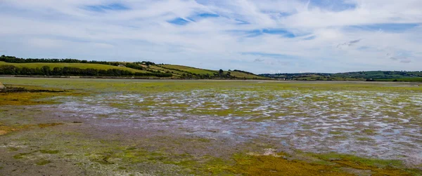 Vast tidal plains in the south of Ireland on a summer day. Irish landscape. A tidal marsh which floods and drains by the tidal movement of the adjacent estuary, sea or ocean. tidal wetland