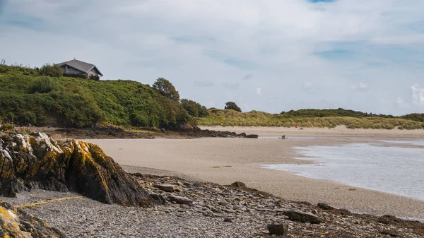 砂浜の近くにある険しい岩の海岸とマラムの草の茂み アイルランドの風景 — ストック写真
