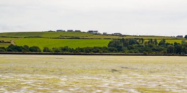 İrlanda kıyılarındaki gelgitten sonra çamurlu düzlükler. Yazın İrlanda manzarası.