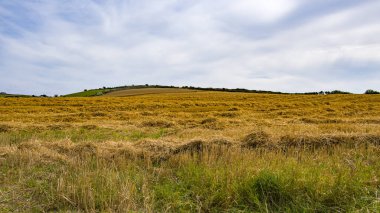 Bir yaz gününde harap bir arazide saman. İrlanda 'da bir çiftçi tarlası. Tarım arazisi. Mavi gökyüzünün altındaki alan