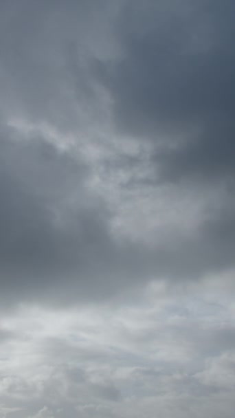 天空是一片灰蒙蒙的画布和凉爽的蓝调 雨云滚滚而下 把风景淋湿了 时间的流逝捕捉到了一天平静的气氛 垂直录像 — 图库视频影像