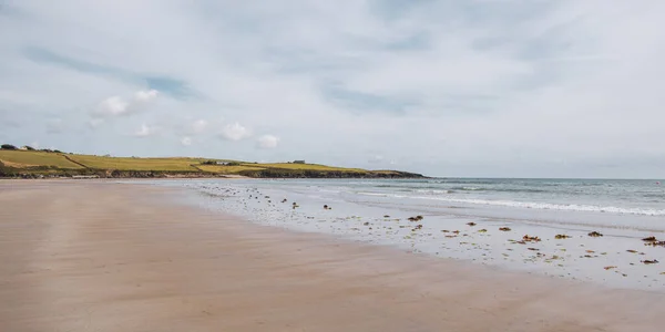 夏の日にサンディアイルランドのビーチ アイルランドの海辺の風景 干潮後の砂浜の海藻 — ストック写真