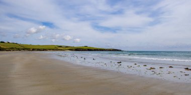 Sandy Irish plajı bir yaz günü. İrlanda 'nın deniz manzarası. Sular çekildikten sonra kumlu sahilde yosun var. Inchydoney Sahili.