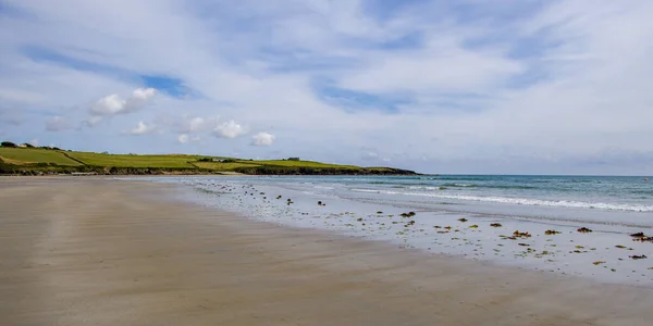 夏日的桑迪爱尔兰海滩爱尔兰的海滨风景 退潮后沙滩上的海藻 Inchydoney海滩 — 图库照片