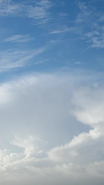 Cumulonimbuswolken Wachsen Heißen Tagen Wenn Warme Feuchte Luft Sehr Hoch — Stockvideo