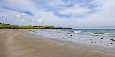 Bir yaz günü İrlanda plajı. İrlanda 'nın deniz manzarası. Sular çekildikten sonra kumlu sahilde yosun var. Inchydoney Sahili.