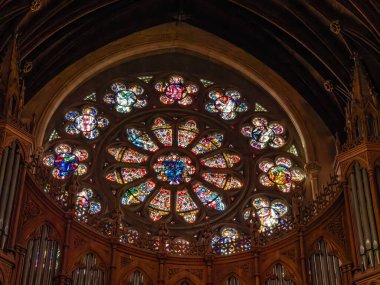 Cobh, İrlanda 'daki St. Colman Katedrali' nin içinde kocaman yuvarlak bir vitraylı pencere..