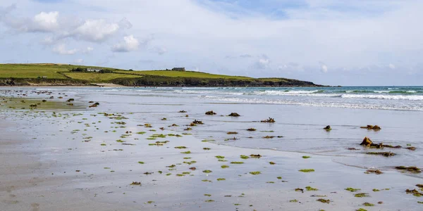 Spiaggia Sabbia Una Giornata Estiva Paesaggio Balneare Dell Irlanda Alghe — Foto Stock