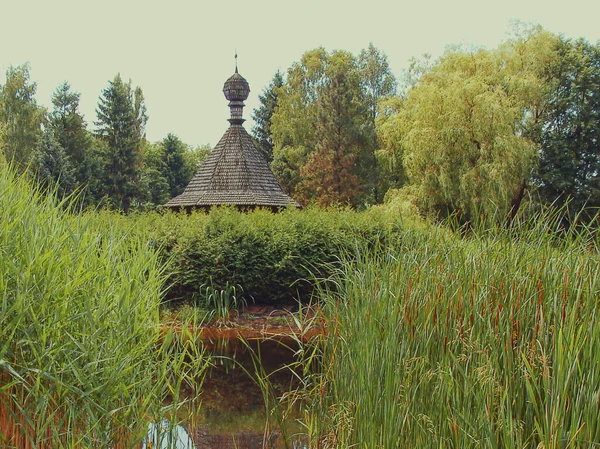Ein Alter Hölzerner Pavillon Mit Einer Kuppel Inmitten Eines Sumpfigen — Stockfoto