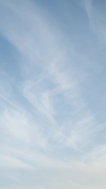 Egy Nyári Napon Makulátlan Kék Égbolttal Karcsú Cirrus Felhők Suhannak — Stock videók