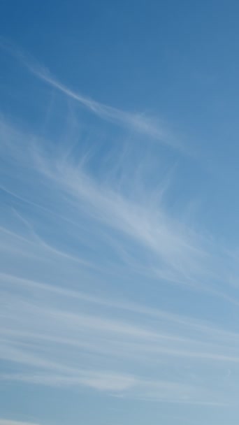 Görünüşte Uzun Yumuşak Sirk Bulutları Engin Mavi Gökyüzünde Sürükleniyor Günün — Stok video