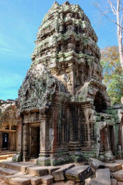 Turistler, Kamboçya ormanlarındaki antik Khmer mimari hünerinin bir kanıtı olan Ta Prohm 'daki yıkılan taş kulenin eski cazibesine kapılıyorlar..
