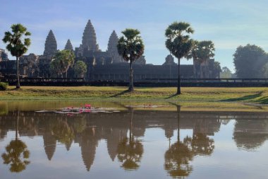 Angkor Wat 'ın ünlü Khmer tapınağının yanında çiçek açan bir göletin resmi..