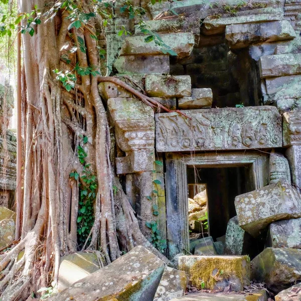 Image Collapsed Khmer Medieval Stone Structure Being Overtaken Flora Forest — Stock Photo, Image