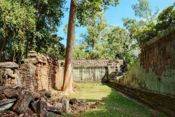 Antiguos Muros Piedra Bosque Camboyano Las Ruinas Del Templo Prohm — Foto de Stock