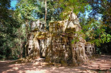 Yoğun Kamboçya ormanlarında yuva yapmış antik ortaçağ kalıntılarını barındıran geniş bir manzara..