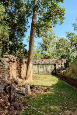 Ta Prohm Tapınağı 'nın yıpranmış taş duvarları Kamboçya ormanının kalbinde duruyor..