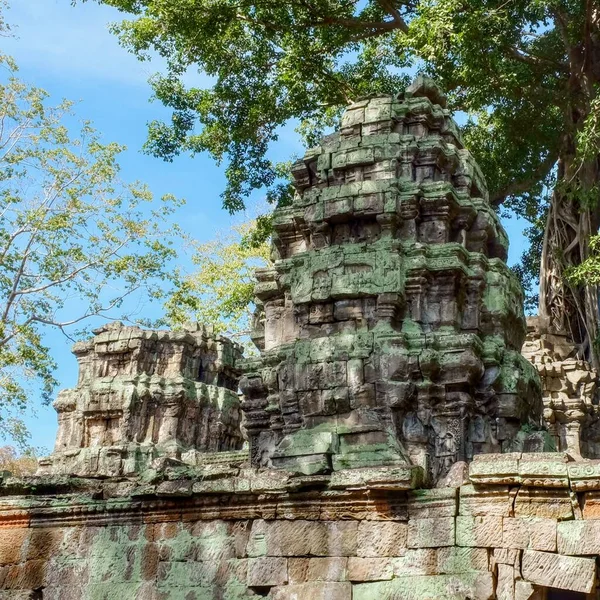 画像はカンボジアの破壊された中世のクメールの建物を示しています 生い茂った植生の中で見える — ストック写真