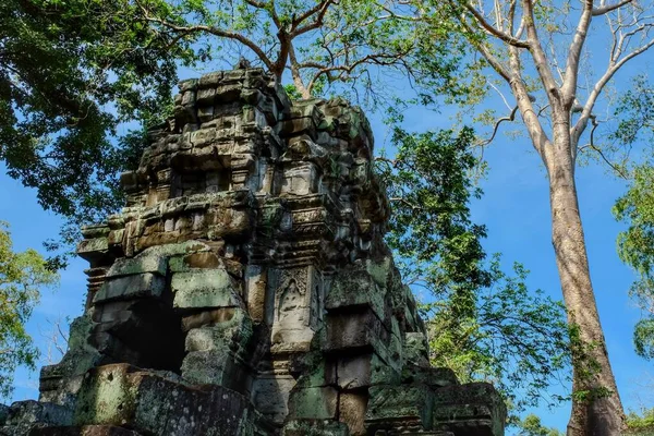 Edificio Piedra Medieval Khmer Ruinas Entre Las Plantas Del Bosque —  Fotos de Stock