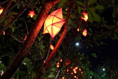 Dekoratif tatil yıldızları geceleri ağaç dallarında parlarlar..