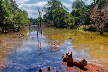 Güneydoğu Asya 'da bataklık bir nehrin çok renkli çamurlu sularını yakalayan fotoğraf doğal bir manzara sergiliyor..