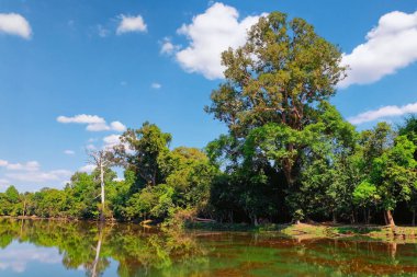 Mavi gökyüzünde beyaz kümülüs bulutlarının altında, parlak bir sonbahar gününde sığ bir göletin kıyısında duran ağaçları gösteren fotoğraf..
