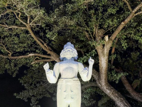 Sochařský Obraz Mnohovrstevného Mnohovrstevného Božstva Poblíž Stromu Kambodža Noc — Stock fotografie