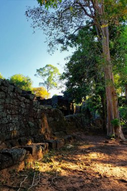 Kamboçya 'nın harabelerini tasvir eden ortaçağ Kamboçya yapılarının parçaları..