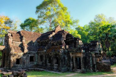 Kamboçya 'daki Bantey Kdei Tapınağı' nın antik taş kalıntılarını sunar..