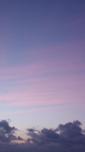 ライラックの柔らかく繊細な色合いに対して 朝の空はこの素晴らしいビデオのタイムラプスで穏やかで平和な背景として役立ちます バーティカルビデオ — ストック動画