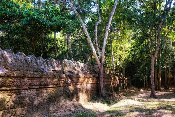 Ένα Αρχαίο Πέτρινο Τείχος Ανάμεσα Στα Δέντρα Στο Δάσος Της — Φωτογραφία Αρχείου