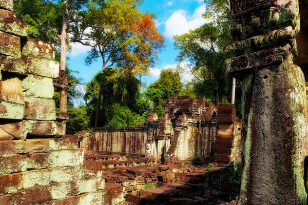 カンボジアの森林にある古代の建造物の遺跡 アンコールの失われた都市 — ストック写真