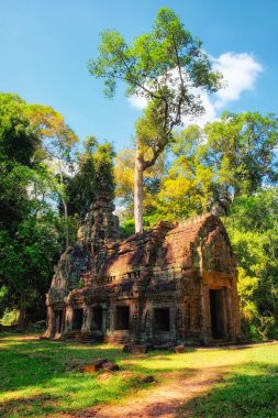 Doğanın ıslah çalışmaları: Kamboçya ormanları tarafından yutulan terk edilmiş eski bir Khmer binası, bir zamanlar bir ev olan bir ortaçağ Asya mimari harikası..