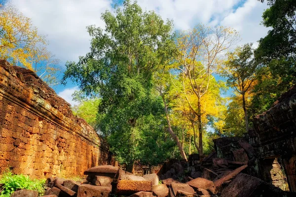 Древние Руины Зданий Камбоджийском Лесу Руины Кхмерской Цивилизации Ландшафт — стоковое фото