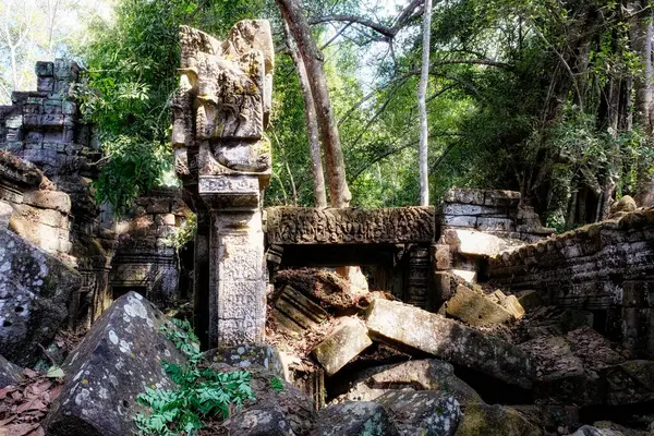 Природе Древние Руины Кхмерских Зданий Пугают Камбоджийский Лес Создавая Завораживающий — стоковое фото