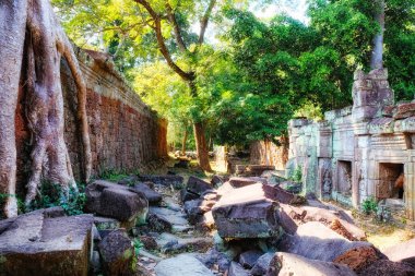 Geçmişi gözler önüne seren Kamboçya ormanlarındaki antik yapıların kalıntıları, kayıp şehir Angkor.