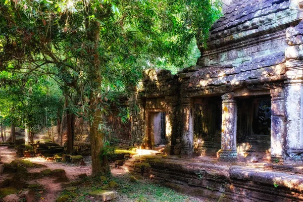 Antiguos Templos Camboyanos Escondidos Exuberantes Bosques — Foto de Stock
