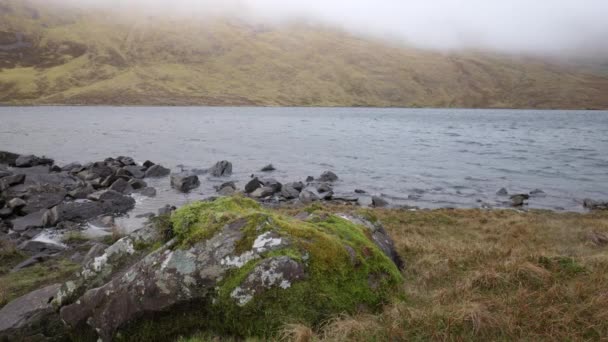 Piedras Cubiertas Musgo Yacen Orilla Lago Irlanda Día Nublado — Vídeo de stock