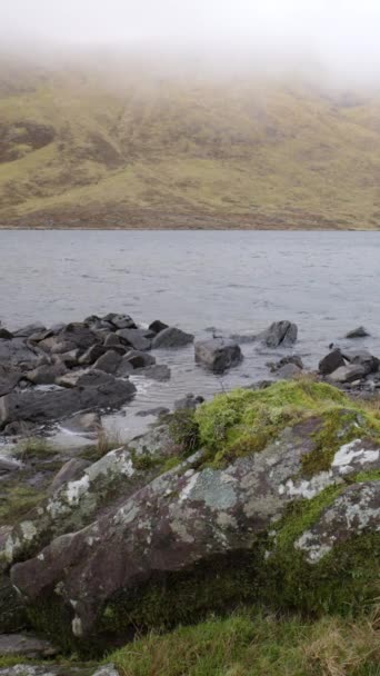 爱尔兰多云的一天 湖岸上布满苔藓的石头 垂直录像 — 图库视频影像