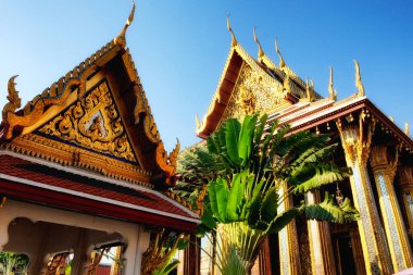 Yeşil yapraklarla çevrili, altın sütunları ve kırmızı çatısı olan süslü bir tapınak, açık mavi gökyüzüne karşı görkemli bir şekilde duruyor..