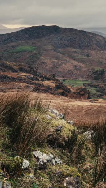 Arka Planda Kerry Lçesi Nin Dağlık Arazisi Olan Rüzgârla Hışırdayan — Stok video