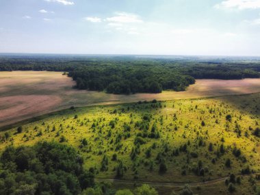 Bir tarlanın yanındaki yeşil yaprak döken orman. Kuş bakışı manzaralı bir yer. Güneşli hava.