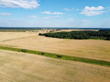 Güneşli bir günde tarla ve ekilen tarlaların nefes kesici manzarası. Ukrayna 'nın yeri, Avrupa. Drone fotoğrafçılığı. Tarım endüstrisi kavramı.