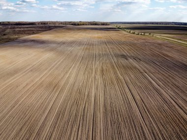 Tedavi edilmiş çiftlik alanı, hava manzarası. Tarım arazisi.