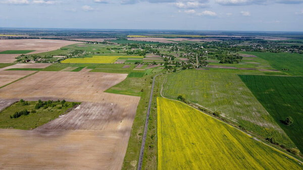 Scenic farm fields under blue skies. Rape crops. Country road among the fields.