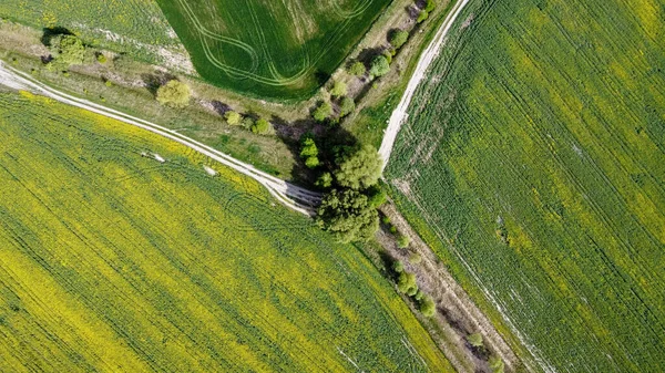 Smutsig Väg Längs Den Övergivna Meliorationskanalen Jordbruksmark Flygbild — Stockfoto