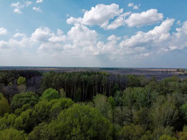 Yoğun bir ormanın üzerindeki mavi bulutlu gökyüzü, hava manzarası. Ormanın üzerinde güzel bulutlu gökyüzü.