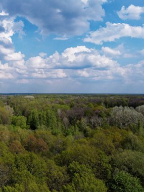 Yoğun bir ormanın üzerindeki mavi bulutlu gökyüzü, hava manzarası. Ormanın üzerinde güzel bulutlu gökyüzü.